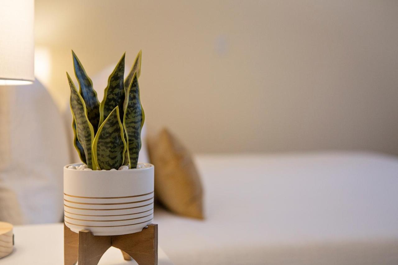 Stirling All Suites Hotel 纳尔逊 外观 照片